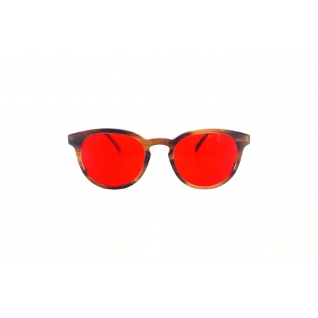 Humpty Dumpty Kids Tortoise Brown